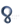 IGS Logo